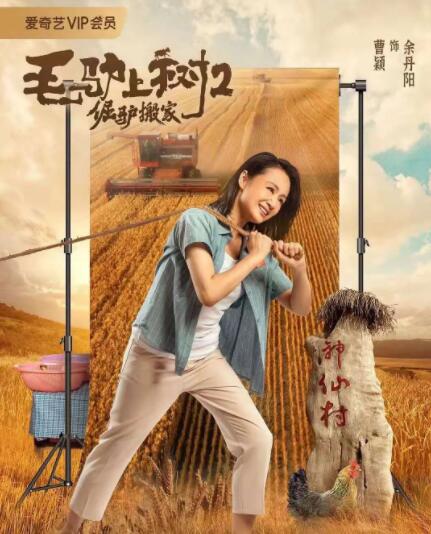 爱黑马的白马