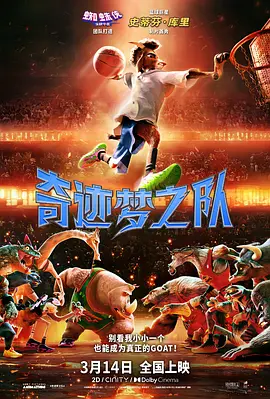 国产视频入口