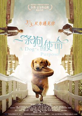国产99久久精品一区二区