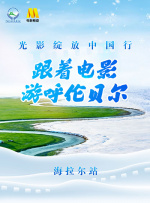 老司机的午夜