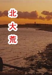 蔡司电影高清免费播放