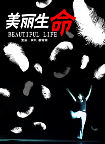一区二区在线视频观看