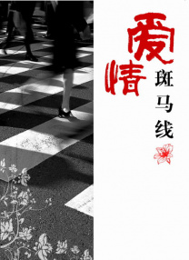 丁香六月婷婷激情