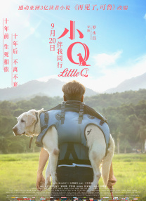 欧美午夜视频一区二区